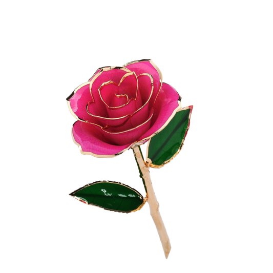 24K Gold Rose